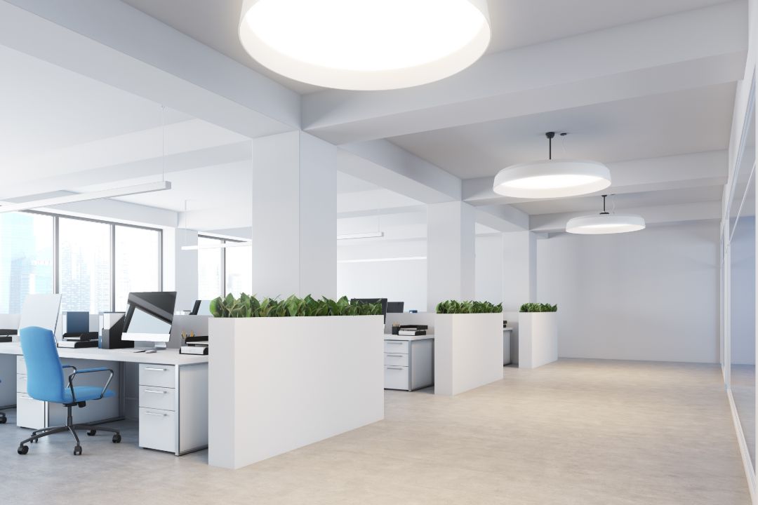 Electrician Remuera